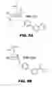 Fig. 13 - COMPOUNDS AND METHODS FOR TREATING BACTERIAL INFECTIONS