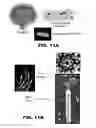 Fig. 21 - COMPOUNDS AND METHODS FOR TREATING BACTERIAL INFECTIONS