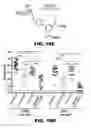 Fig. 32 - COMPOUNDS AND METHODS FOR TREATING BACTERIAL INFECTIONS