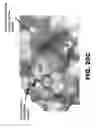Fig. 36 - COMPOUNDS AND METHODS FOR TREATING BACTERIAL INFECTIONS