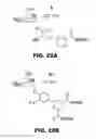 Fig. 39 - COMPOUNDS AND METHODS FOR TREATING BACTERIAL INFECTIONS