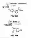 Fig. 45 - COMPOUNDS AND METHODS FOR TREATING BACTERIAL INFECTIONS