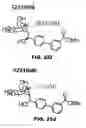 Fig. 49 - COMPOUNDS AND METHODS FOR TREATING BACTERIAL INFECTIONS