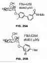 Fig. 50 - COMPOUNDS AND METHODS FOR TREATING BACTERIAL INFECTIONS
