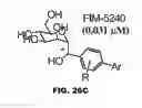 Fig. 51 - COMPOUNDS AND METHODS FOR TREATING BACTERIAL INFECTIONS