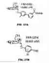 Fig. 53 - COMPOUNDS AND METHODS FOR TREATING BACTERIAL INFECTIONS