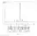 Fig. 11 - Method for isolating and purifying recombinant human serum albumin from transgenic rice grain