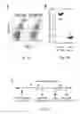 Fig. 02 - Engineered outer domain (eOD) of HIV GP120, mutants and use thereof