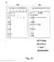 Fig. 05 - Engineered outer domain (eOD) of HIV GP120, mutants and use thereof