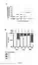 Fig. 07 - Engineered outer domain (eOD) of HIV GP120, mutants and use thereof