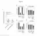 Fig. 141 - Engineered outer domain (eOD) of HIV GP120, mutants and use thereof