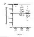 Fig. 43 - Engineered outer domain (eOD) of HIV GP120, mutants and use thereof