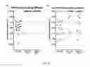 Fig. 90 - Engineered outer domain (eOD) of HIV GP120, mutants and use thereof
