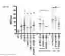 Fig. 06 - Anti-inflammatory compounds and methods of use