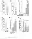 Fig. 06 - MUSCLIN PEPTIDES AND METHODS OF USE THEREOF