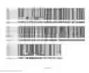 Fig. 02 - ACTRIIB ANTAGONISTS AND DOSING AND USES THEREOF