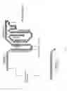 Fig. 08 - Multimeric polypeptides of HLA-G including at least two alpha3 domains and pharmaceutical uses thereof