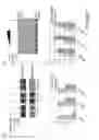 Fig. 08 - METHODS AND COMPOSITIONS RELATING TO ANTI-NUCLEOLIN RECOMBINANT IMMUNOAGENTS