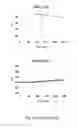 Fig. 05 - Agents, uses and methods for the treatment of synucleinopathy