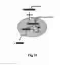 Fig. 22 - Agents, uses and methods for the treatment of synucleinopathy