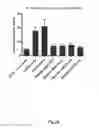 Fig. 46 - Agents, uses and methods for the treatment of synucleinopathy