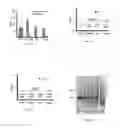 Fig. 02 - Compositions and methods for treating cancer