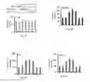 Fig. 05 - Compositions and methods for treating cancer