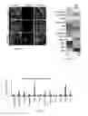 Fig. 09 - Compositions and methods for treating cancer
