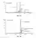 Fig. 06 - Covalent diabodies and uses thereof