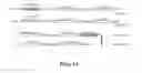 Fig. 16 - Covalent diabodies and uses thereof
