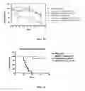 Fig. 25 - Covalent diabodies and uses thereof