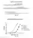 Fig. 30 - Covalent diabodies and uses thereof