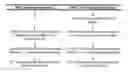 Fig. 03 - Immunoglobulin formulation and method of preparation thereof