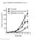 Fig. 06 - Binding molecules specific for CD73 and uses thereof
