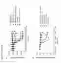 Fig. 45 - Binding molecules specific for CD73 and uses thereof
