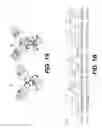 Fig. 02 - IgM- or IgE-Modified Binding Proteins and Uses Thereof