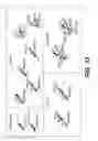 Fig. 15 - IgM- or IgE-Modified Binding Proteins and Uses Thereof