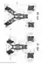 Fig. 02 - Bispecific binding proteins that bind CD40 and mesothelin
