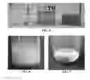 Fig. 03 - Coagulation of chitin from ionic liquid solutions using kosmotropic salts