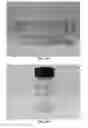 Fig. 07 - Coagulation of chitin from ionic liquid solutions using kosmotropic salts