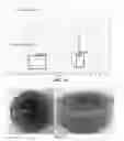 Fig. 08 - Coagulation of chitin from ionic liquid solutions using kosmotropic salts