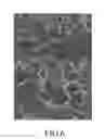 Fig. 07 - METHOD FOR MANUFACTURING A MALEIC ANHYDRIDE-GRAFTED ATACTIC POLYPROPYLENE