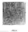 Fig. 09 - METHOD FOR MANUFACTURING A MALEIC ANHYDRIDE-GRAFTED ATACTIC POLYPROPYLENE