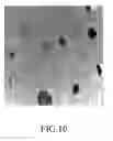 Fig. 11 - METHOD FOR MANUFACTURING A MALEIC ANHYDRIDE-GRAFTED ATACTIC POLYPROPYLENE
