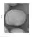 Fig. 06 - Methods and compositions for increasing ink clay loading in heatset ink formulations while maintaining ink gloss, and ink formulations produced therefrom