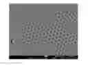 Fig. 01 - OPTICALLY FUNCTIONAL MATERIAL HAVING HUE AND LUSTER, PREPARATION OF SAME, AND APPLICATION OF SAME