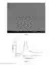 Fig. 02 - OPTICALLY FUNCTIONAL MATERIAL HAVING HUE AND LUSTER, PREPARATION OF SAME, AND APPLICATION OF SAME