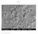 Fig. 02 - Polymeric composite materials and methods of making them