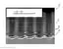 Fig. 01 - Antifouling composition