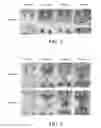 Fig. 02 - Antifouling composition